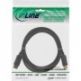 InLine 17101P cavo DisplayPort Nero (17101P)