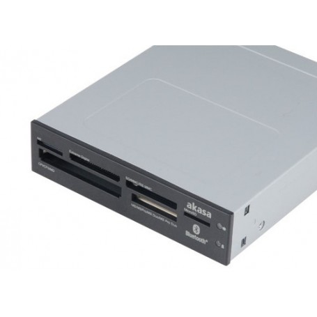 Akasa AK-ICR-11 lettore di schede USB 2.0 Interno (AK-ICR-11)