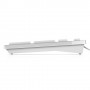 DELL KB216 tastiera USB QWERTY US International Bianco