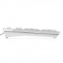 DELL KB216 tastiera USB QWERTY US International Bianco