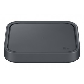 Samsung EP-P2400 Grigio Interno