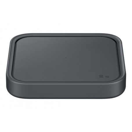 Samsung EP-P2400 Grigio Interno
