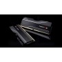 G.Skill Trident Z5 Neo F5-5600J3036D16GX2-TZ5N memoria 32 GB 2 x 16 GB DDR5 5600 MHz