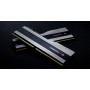 G.Skill Trident Z F5-6400J3239G16GX2-TZ5S memoria 32 GB 2 x 16 GB DDR5 6400 MHz