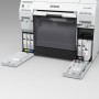 Epson C13T43U440 cartuccia d'inchiostro 1 pz Originale Giallo