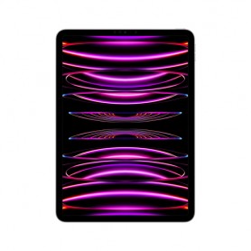 Apple iPad Pro 256 GB 27,9 cm (11") Apple M 8 GB Wi-Fi 6E (802.11ax) iPadOS 16 Grigio