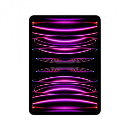 Apple iPad Pro 256 GB 27,9 cm (11") Apple M 8 GB Wi-Fi 6E (802.11ax) iPadOS 16 Grigio
