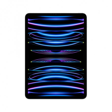 Apple iPad Pro 1000 GB 27,9 cm (11") Apple M 16 GB Wi-Fi 6E (802.11ax) iPadOS 16 Argento