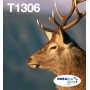 Epson Stag T1306 cartuccia d'inchiostro 3 pz Originale Resa elevata (XL) Ciano, Magenta, Giallo
