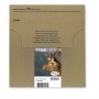 Epson Stag T1306 cartuccia d'inchiostro 3 pz Originale Resa elevata (XL) Ciano, Magenta, Giallo
