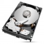 Seagate IronWolf Pro ST2000NT001 disco rigido interno 3.5" 2000 GB
