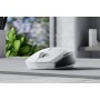 Razer Pro Click Mini mouse Ambidestro RF senza fili + Bluetooth Ottico 12000 DPI