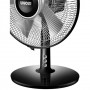 Unold 86817 ventilatore Nero, Argento
