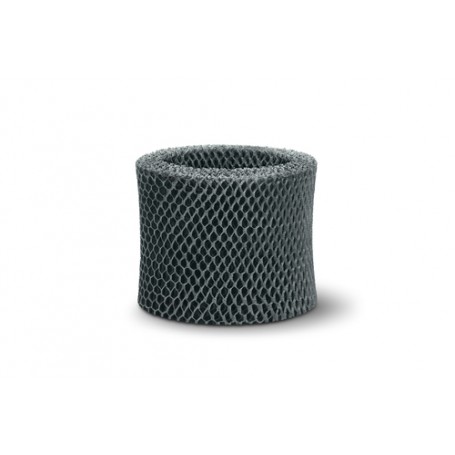 Philips FY2402/00 filtro d'aria 1 pz