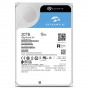 Seagate SkyHawk AI 20 TB 3.5" 20000 GB Serial ATA III