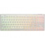 Ducky One 3 Classic Pure White TKL Gaming Tastatur RGB LED tastiera USB Tedesco Bianco