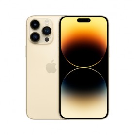 Apple iPhone 14 Pro Max 17 cm (6.7") Doppia SIM iOS 16 5G 128 GB Oro