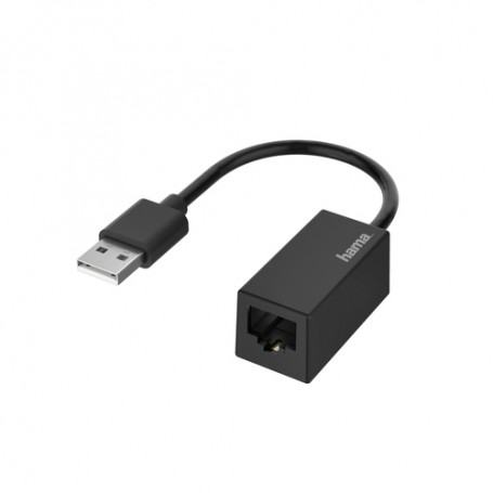 Hama 00200324 scheda di rete e adattatore 100 Mbit/s