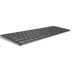 Rapoo E9700M tastiera RF senza fili + Bluetooth QWERTY Tedesco Grigio