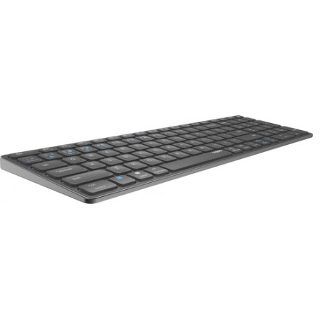 Rapoo E9700M tastiera RF senza fili + Bluetooth QWERTY Tedesco Grigio