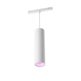 Philips Hue White and Color ambiance 8719514407503 soluzione di illuminazione intelligente Luce a sospensione intelligen