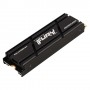 Kingston Technology FURY Renegade M.2 500 GB PCI Express 4.0 3D TLC NVMe
