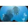 Sony Subnautica, PS4 Basic PlayStation 4