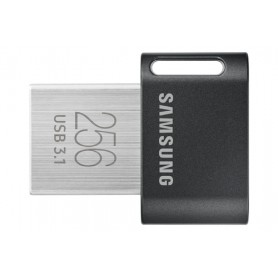 Samsung MUF-256AB unità flash USB 256 GB USB tipo A 3.2 Gen 1 (3.1 Gen 1) Grigio, Argento (MUF-256AB/APC)