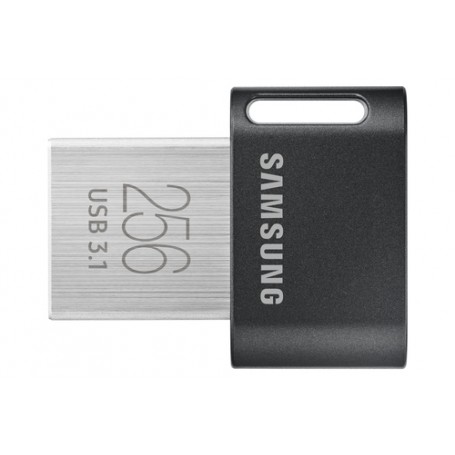 Samsung MUF-256AB unità flash USB 256 GB USB tipo A 3.2 Gen 1 (3.1 Gen 1) Grigio, Argento (MUF-256AB/APC)