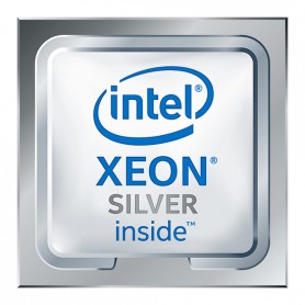 DELL Xeon 4210R processore 2,4 GHz 13,75 MB (338-BVKE)