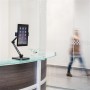 StarTech.com Supporto Universale da Scrivania per Tablet - Braccio Montabile a Parete (ARMTBLTDT)