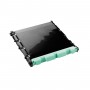 Brother BU-300CL cinghia stampante 50000 pagine (BU300CL)