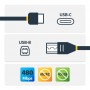 StarTech.com Cavo Stampante USB-B a USB-C da 3 m - USB 2.0 (USB2CB3M)
