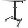 StarTech.com Scrivania Sit-Stand per lavorare in piedi o seduti - Postazione di lavoro ergonomica mobile e regolabile (STSCART2)