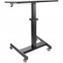 StarTech.com Scrivania Sit-Stand per lavorare in piedi o seduti - Postazione di lavoro ergonomica mobile e regolabile (STSCART2)