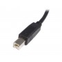 StarTech.com Cavo USB 2.0 per stampante tipo A / B ad alta velocità M/M - 2m (USB2HAB2M)