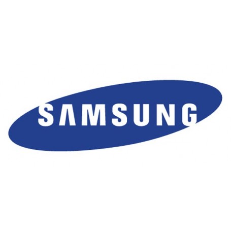 Samsung Ext 4y On Site (C4A0-P-LM-2P5X25O)