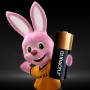 Duracell MN21 Batteria monouso Alcalino (DU25)