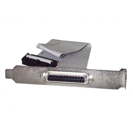 StarTech.com Adattatore / slot di espansione porta Parallela DB25 femmina a IDC 25 da 40cm (PLATE25F16)