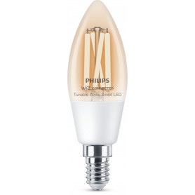 Philips Filament chiaro C35 E14 (929003017621)