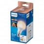Philips Lampadina A67 E27 (929002449621)