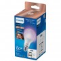 Philips Lampadina A67 E27 (929002449721)