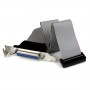 StarTech.com Adattatore cavo collettore porta parallela 40 cm basso profilo con staffa – DB25 (F) a IDC26 (PLATE25F16LP)