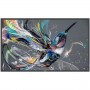 MONITOR 43 Q-LINE 18/7 4K