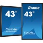 iiyama T4362AS-B1 visualizzatore di messaggi Pannello piatto interattivo 108 cm (42.5") IPS 500 cd/m² 4K Ultra HD Nero Touch sc