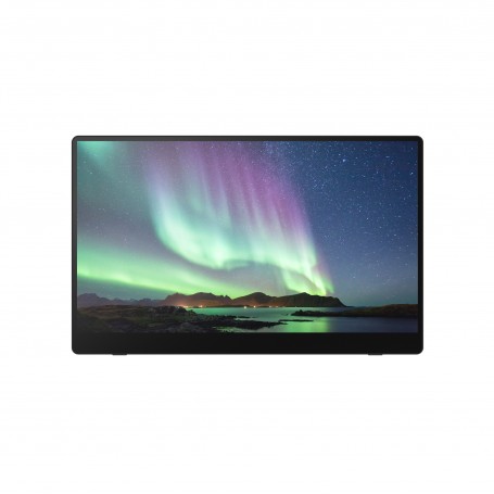 Ricoh Monitor portatile 150BW