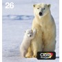 Epson Polar bear Multipack 4-colours 26 EasyMail (C13T26164511)