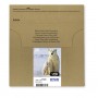 Epson Polar bear Multipack 4-colours 26 EasyMail (C13T26164511)