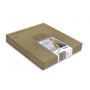 Epson Polar bear Multipack 4-colours 26 EasyMail (C13T26164511)