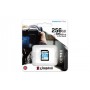 Kingston Technology Canvas Go! Plus 256 GB SD UHS-I Classe 10 (SDG3/256GB)